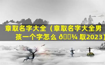 章取名字大全（章取名字大全男孩一个字怎么 🌾 取2023）